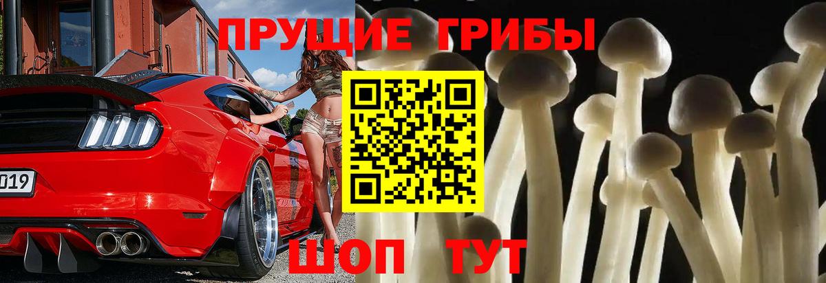 Псилоцибиновые грибы GOLDEN TEACHER Ноябрьск